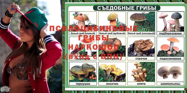 стаф Вязьма