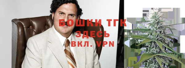 шишки Вяземский