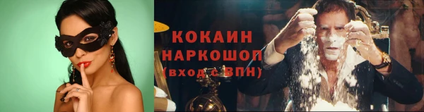 стаф Вязьма
