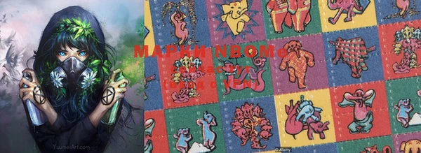 стаф Вязьма