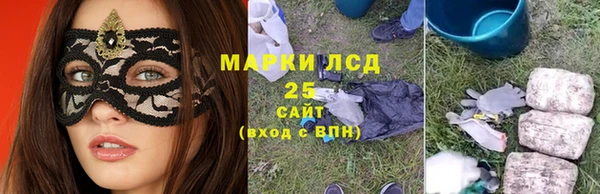 стаф Вязьма