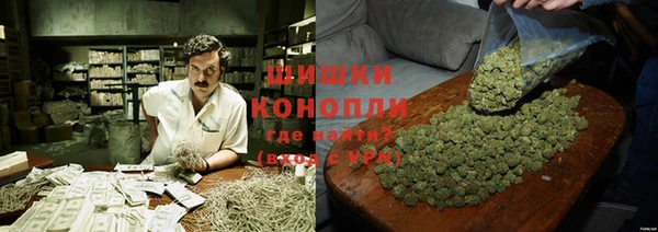шишки Вяземский