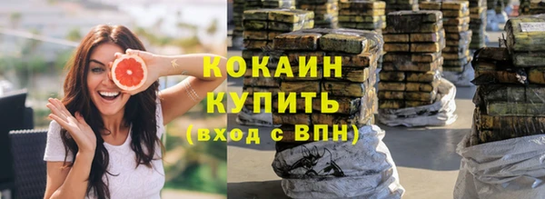шишки Вяземский