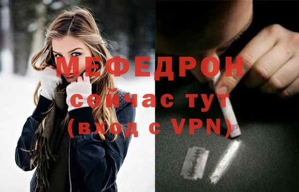 стаф Вязьма