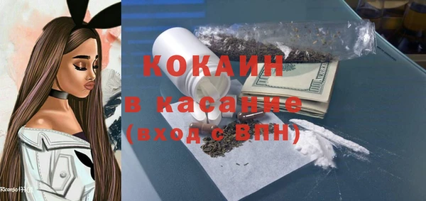 шишки Вяземский