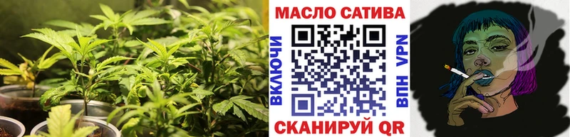 Купить где  Феодосия  ТГК концентрат 